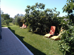 Appartamenti ADRI Stinjan 