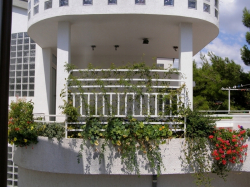 Appartamenti Mimosa Vodice